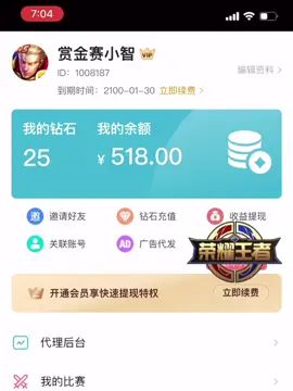 #王者荣耀赏金赛 一晚上打了30把截图