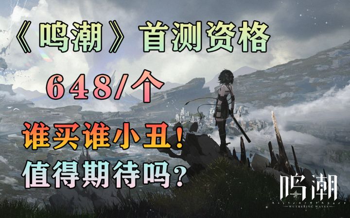 首测资格炒出天价!648一个!《鸣潮》它值得期待吗?库洛重磅新游二次元开放世界游戏!截图