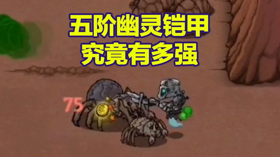 video-1276044