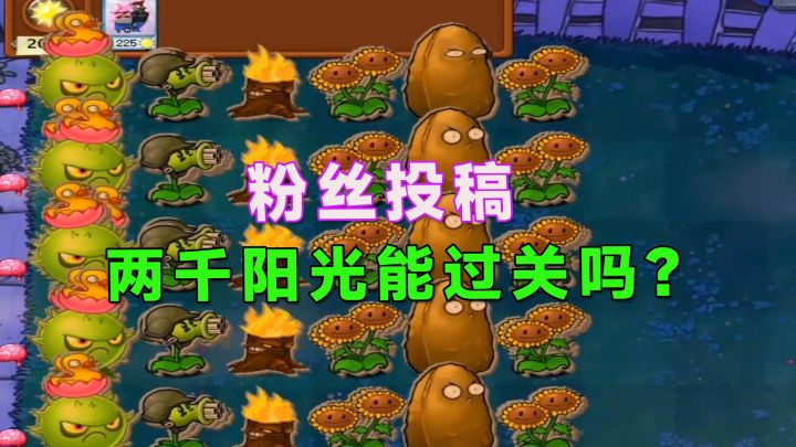 植物大战僵尸：这阵容就两千阳光？就是两万它也过不了吧截图
