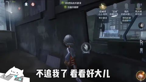 video-2114384