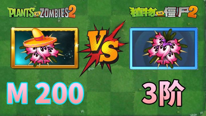 Pvz2:伤害对比,国际版石楠vs中文版石楠!截图