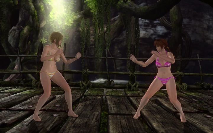 《死或生5》MOD 海咲VS四妹截图