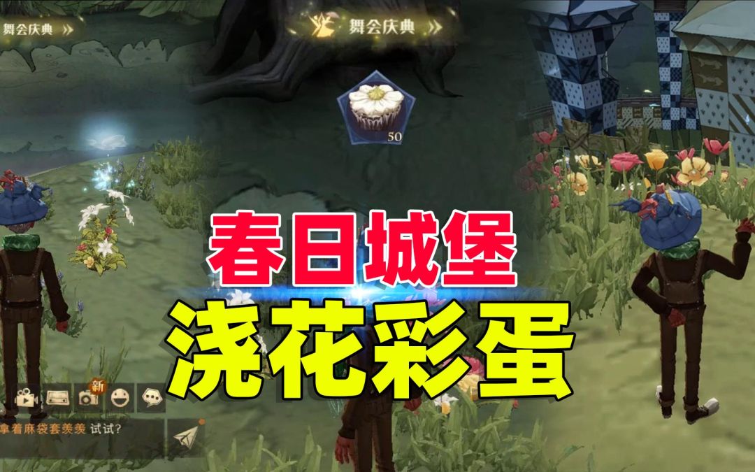 video-2549202