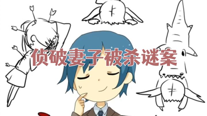 侦破妻子被杀之谜,让妻子活过来!截图