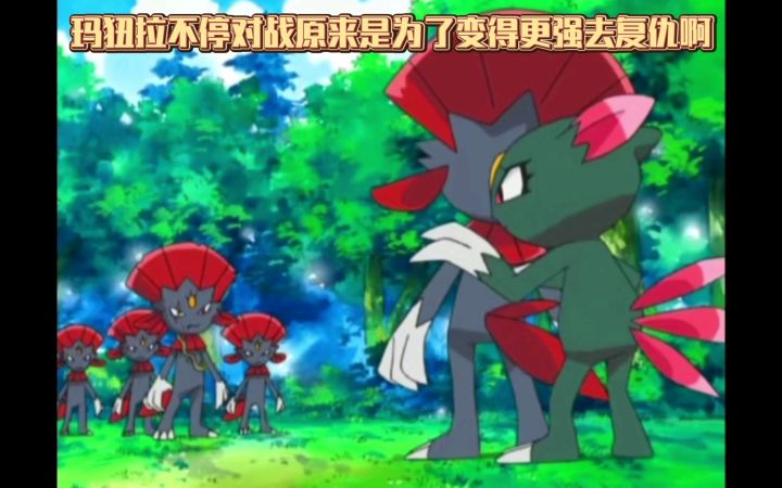 精灵宝可梦 玛狃拉不停对战原来是为了变得更强去复仇啊截图