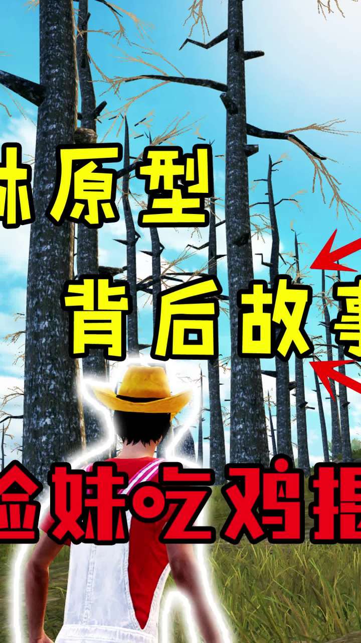 海岛树林原型,背后故事竟然是这样的?!(2)#和平精英 #吃鸡 #游戏截图