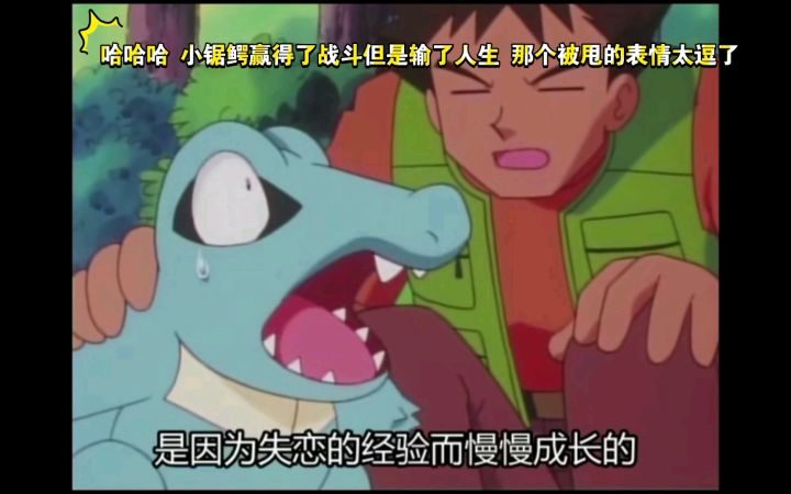 精灵宝可梦 哈哈哈 小锯鳄赢得了战斗但是输了人生 那个被甩的表情太逗了截图