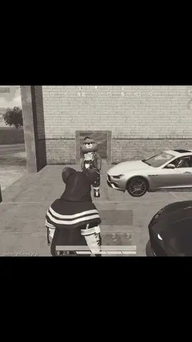 video-2114367