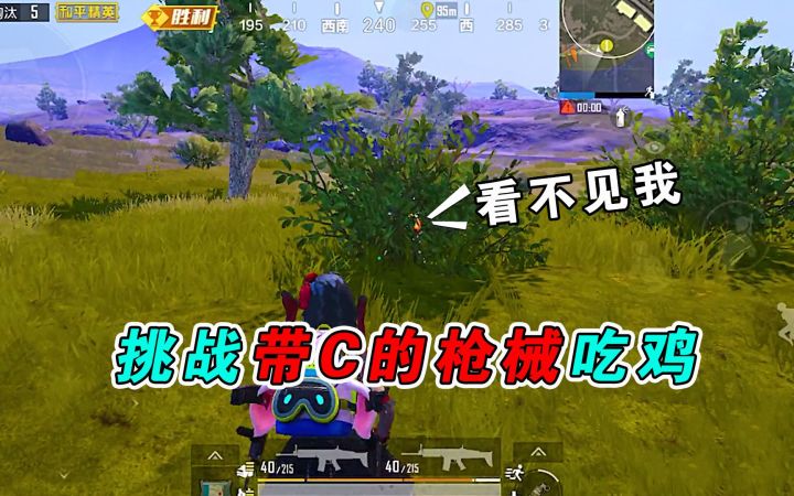 和平精英：挑战带C的枪械吃鸡，敌人自制隐身吉利服！截图