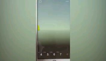 翩翩飞舞的蝴蝶