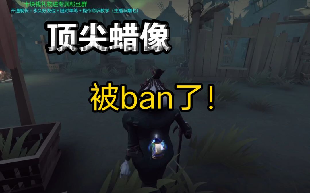 video-3095117