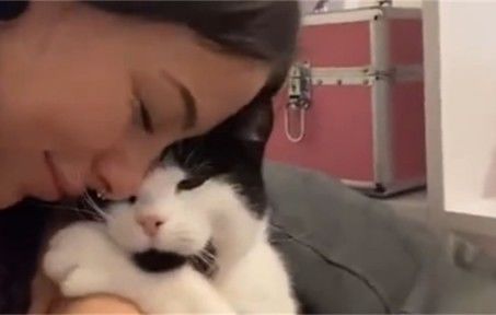 听说周末要和粘人小猫一起过截图