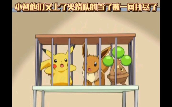 精灵宝可梦 小智他们又上了火箭队的当了被一网打尽了截图