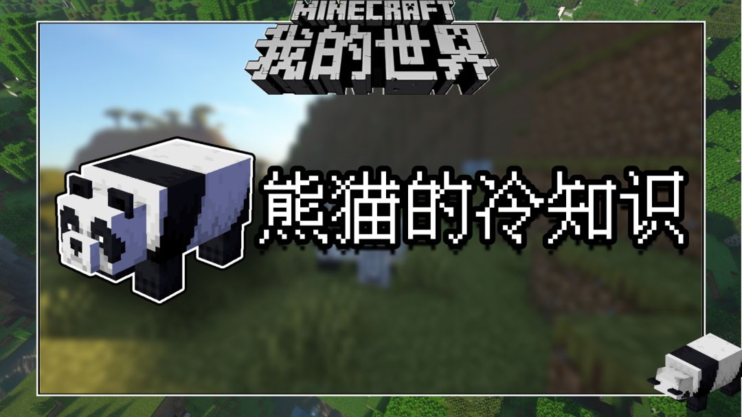 盘点几个我的世界关于熊猫的冷知识截图