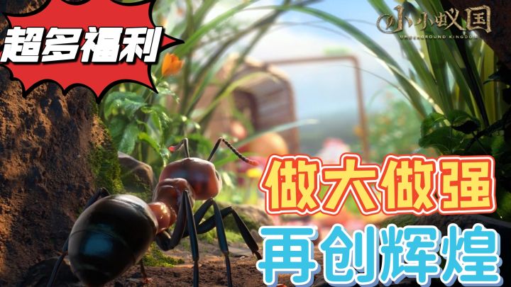 适者生存,强者更强,蚂蚁王国做大做强#小小蚁国 公测#截图