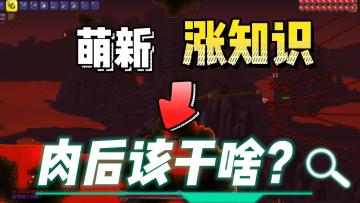 泰拉瑞亚肉后该干啥？萌新秒懂攻略。#攻略大师#