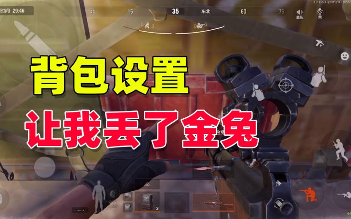 暗区突围:这个设置千万别打开,让我白白损失一只金兔截图