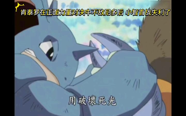 精灵宝可梦 智茂全员对战 肯泰罗VS尼多后 肯泰罗在正面力量对决中不敌尼多后 小智首战失利了截图