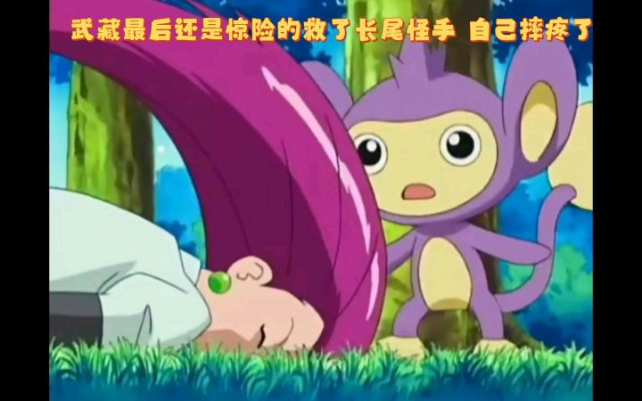精灵宝可梦 武藏最后还是惊险的救了长尾怪手 自己摔疼了截图