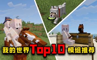 我的世界Top10：丢球游戏，双人骑乘，马拉大车！