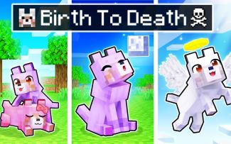 【Aphmau】我的世界|狼狼的一生The BIRTH to DEATH of a Minecraft Wolf!