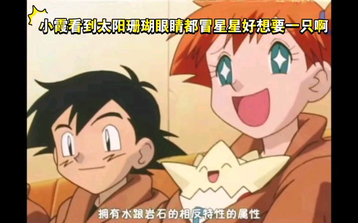 精灵宝可梦 哈哈哈 小霞看到太阳珊瑚眼睛都冒星星好想要一只啊截图