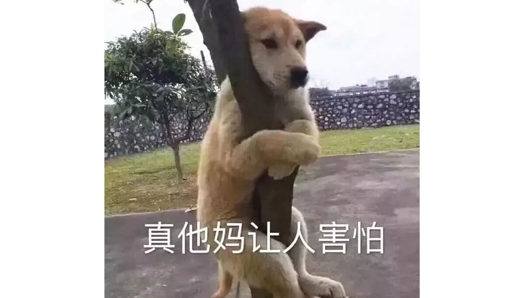video-1188968