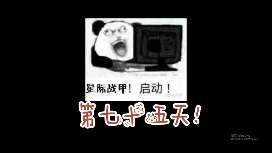 video-2320952
