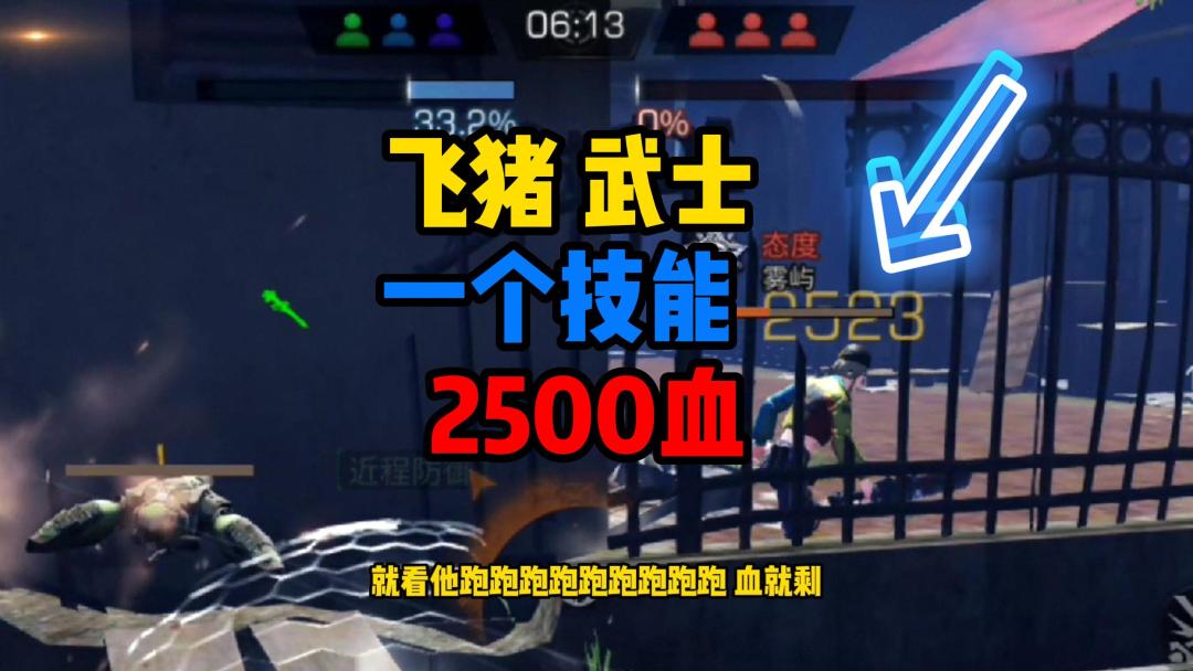 video-3010986