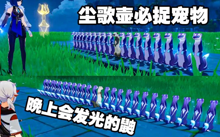 不会有人才知道青雷鼬晚上会发光吧！截图