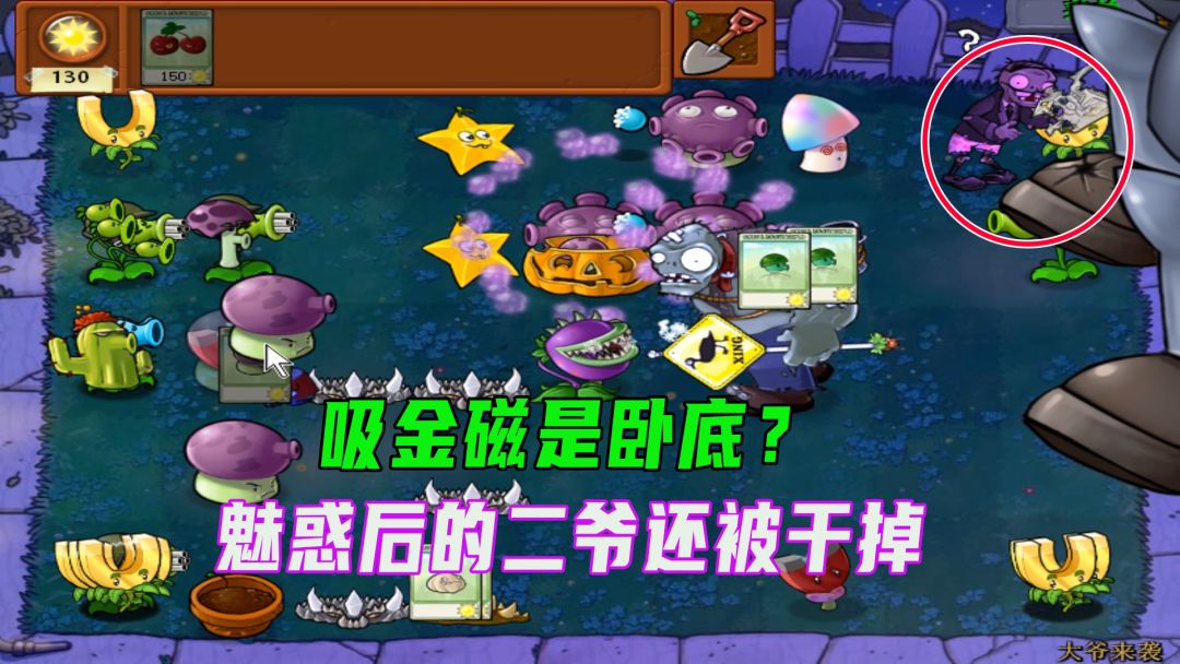 植物大战僵尸：这运气！不用金坷垃小老弟都得去度假截图