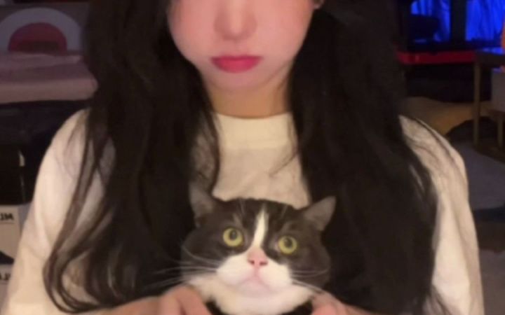 人和猫 你要哪个?截图
