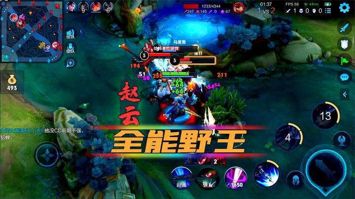 老鸟:赵云是一个很全方位的英雄,你确定不学一下吗?截图