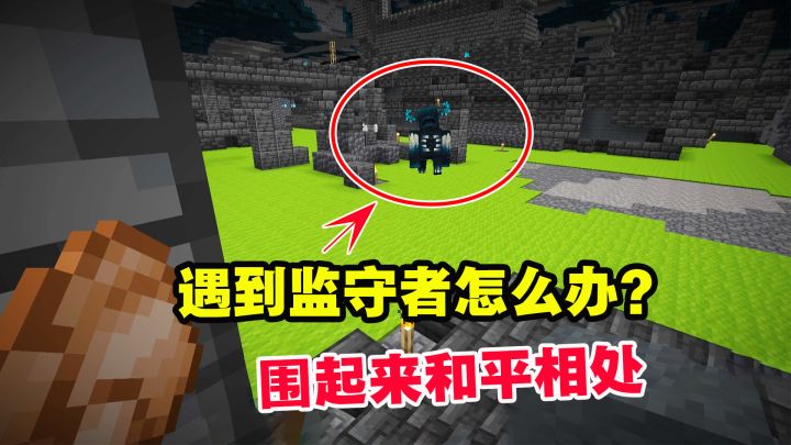 1.19联机70：遇到监守者怎么办？围起来和平相处！握手言和截图