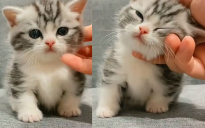 这才是猛男该看的视频!截图