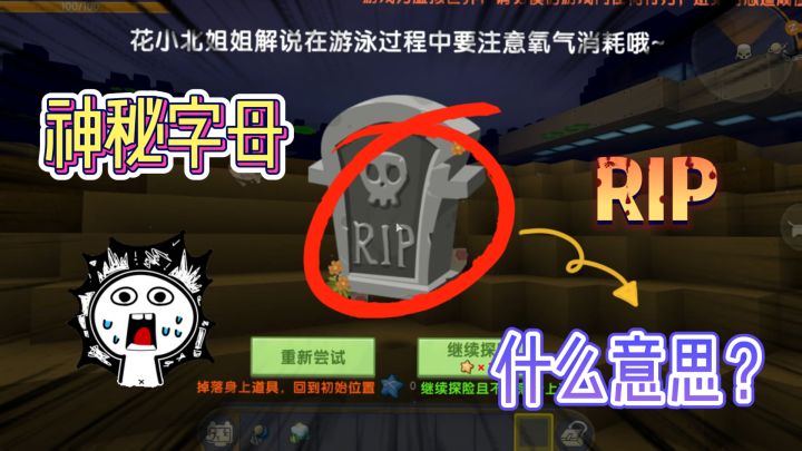 迷你世界:“RIP”的意思?在游戏中消失,石碑上会出现的字母截图
