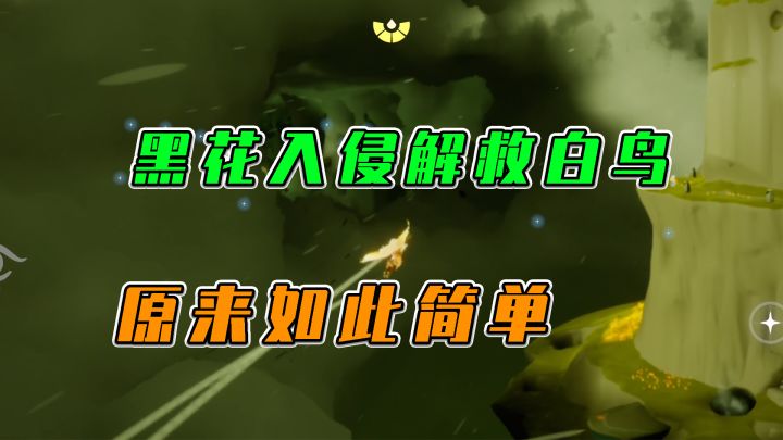 光遇:黑花入侵解救白鸟,原来如此简单截图