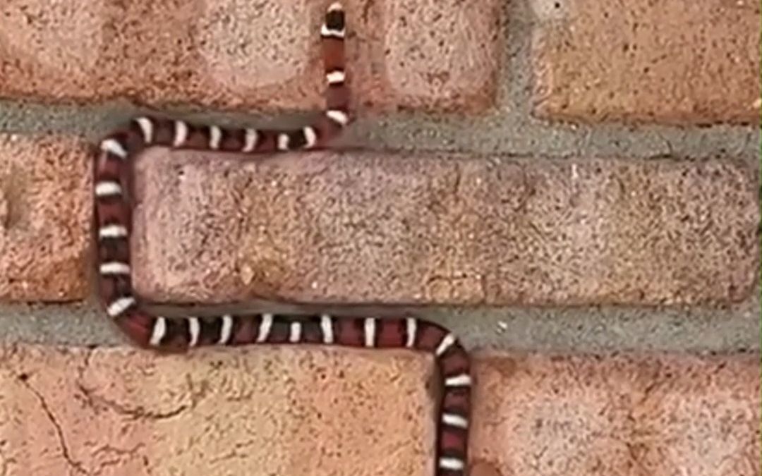 video-3557426