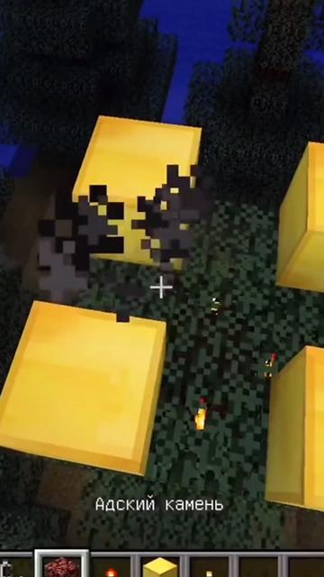 video-2185488
