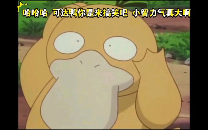 精灵宝可梦 哈哈哈 可达鸭你是来搞笑吧 小智力气真大啊截图