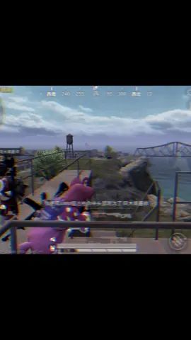 video-2119251