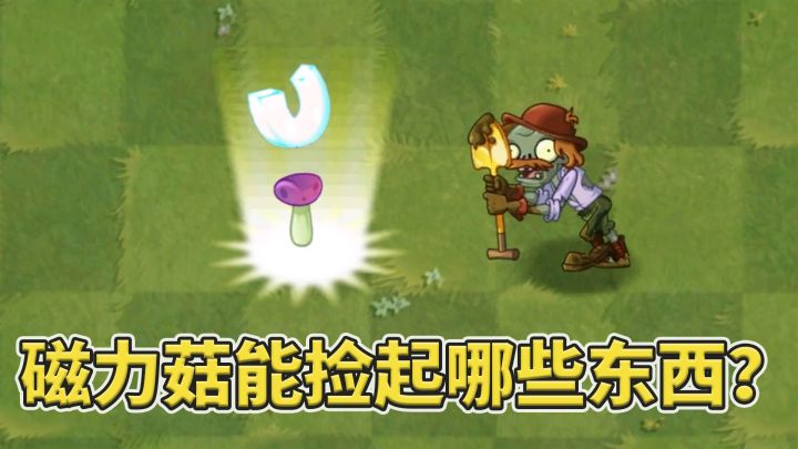 植物大战僵尸:请捡起地上的物品!截图
