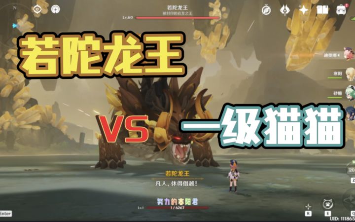 【原神】一级猫猫无伤若陀龙王截图