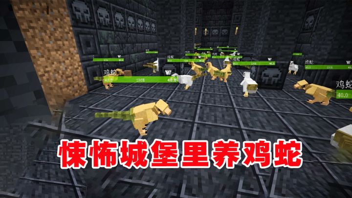 我的世界冰火传说107:悚怖城堡里养鸡蛇,没想到都是来看戏的截图