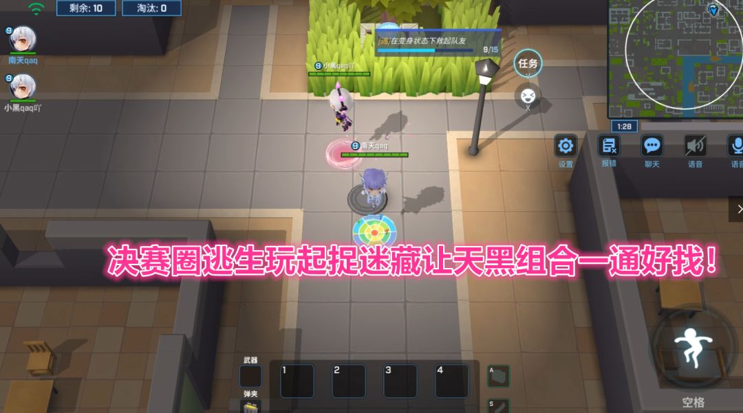 video-2144890