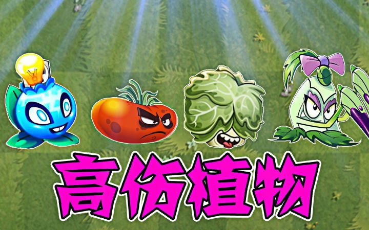 植物大战僵尸:高伤植物大比拼,比比谁才是王者!截图