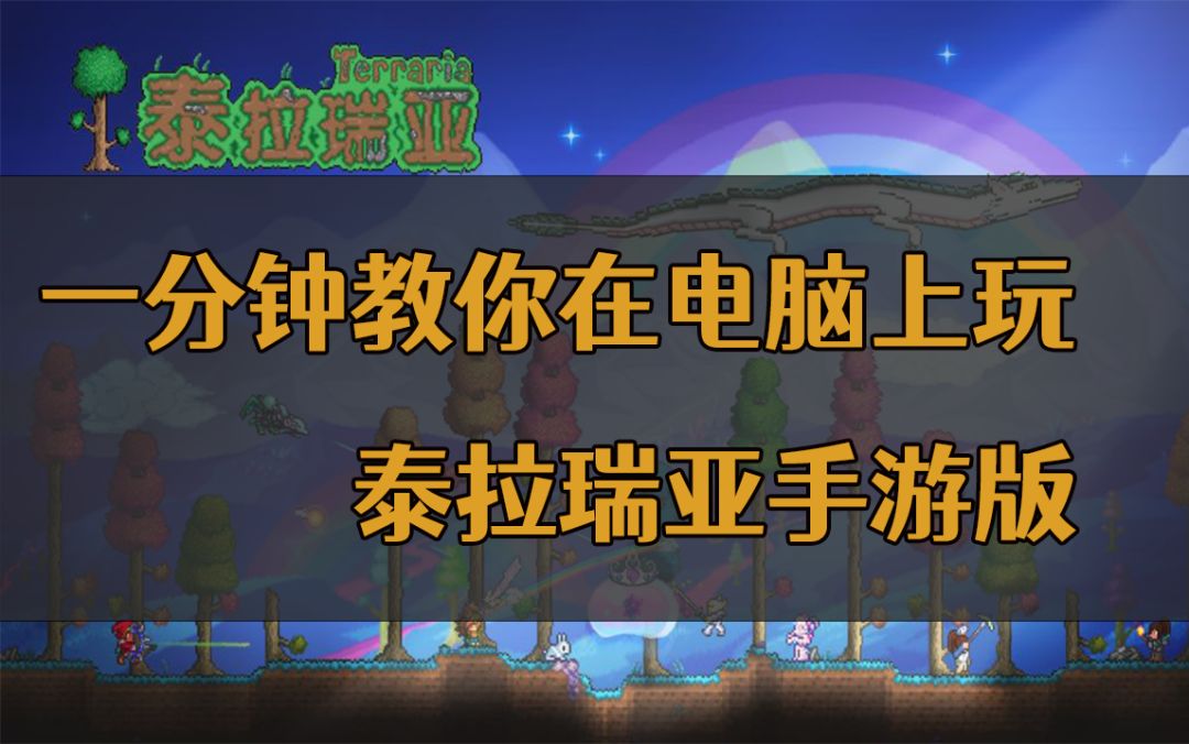 video-2188202