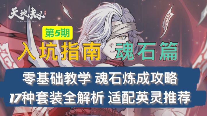 【天地劫入坑指南】第5期魂石篇:17套全魂石讲解+新人养成技巧+英雄配装分析截图