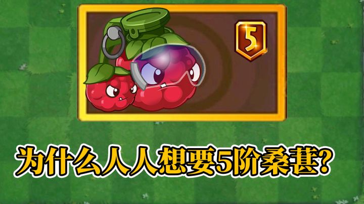 Pvz2：为什么人人想要5阶桑葚爆破手？截图
